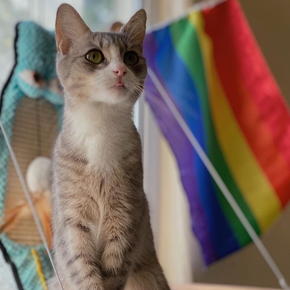 Meet The Posher, Erica! - Picture 4 of 4